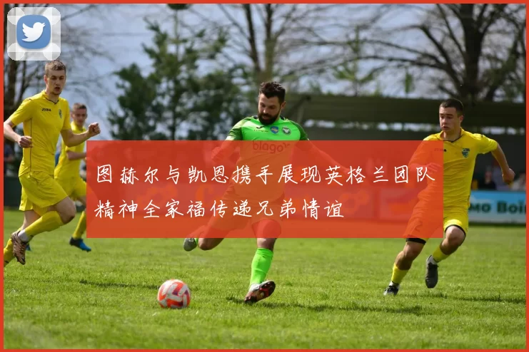 图赫尔与凯恩携手展现英格兰团队精神全家福传递兄弟情谊