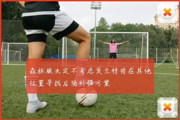 森林狼决定不考虑莫兰特将在其他位置寻找后场补强方案